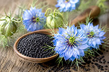 Black Seed booklet thumbnail